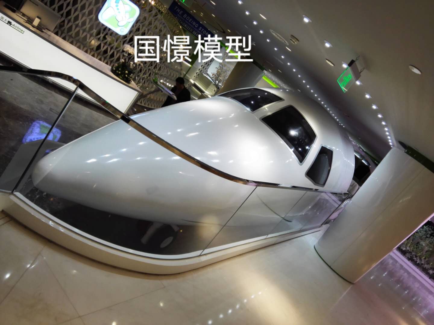 青州市大型仿真模型道具